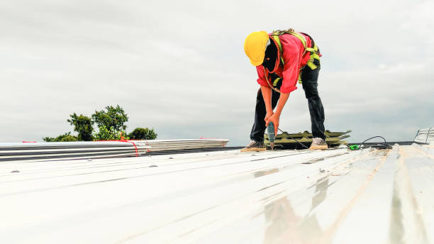 Best Gutter Installation and Repair  in La Vergne, TN