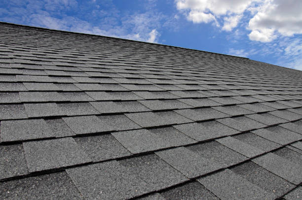 Best Rubber Roofing (EPDM, TPO)  in La Vergne, TN